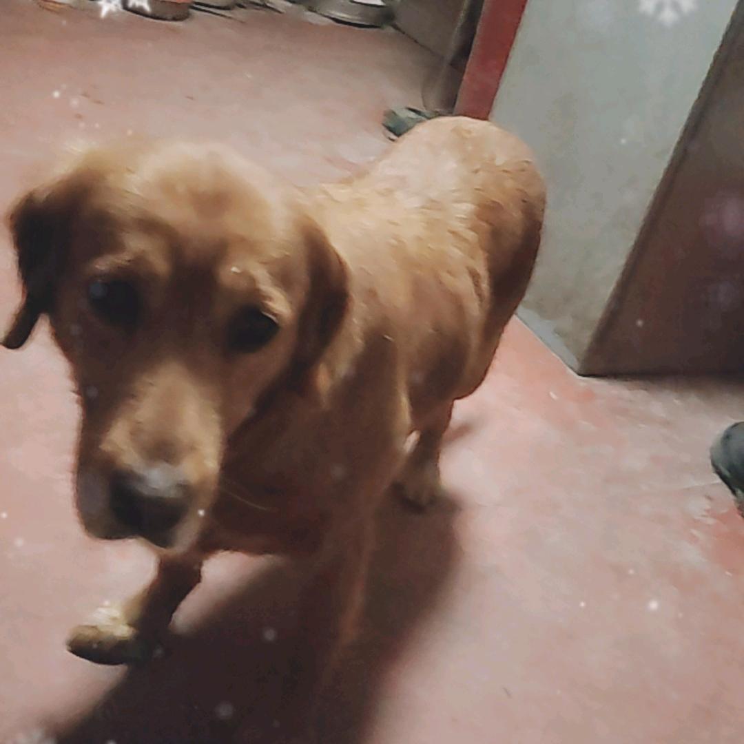 爱到最后。被玩了一下