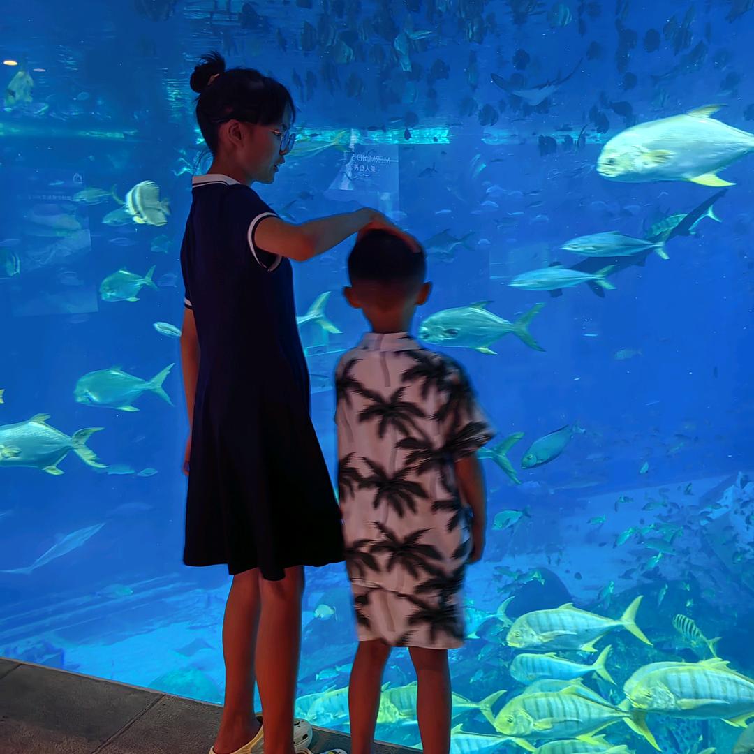 🦁(〜￣▽￣)〜