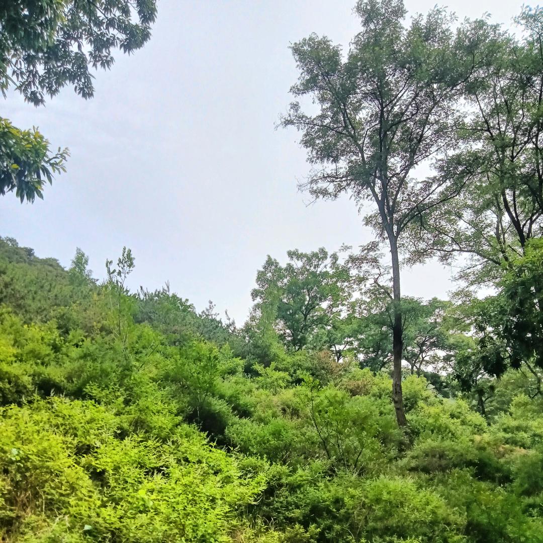 时光淡淡