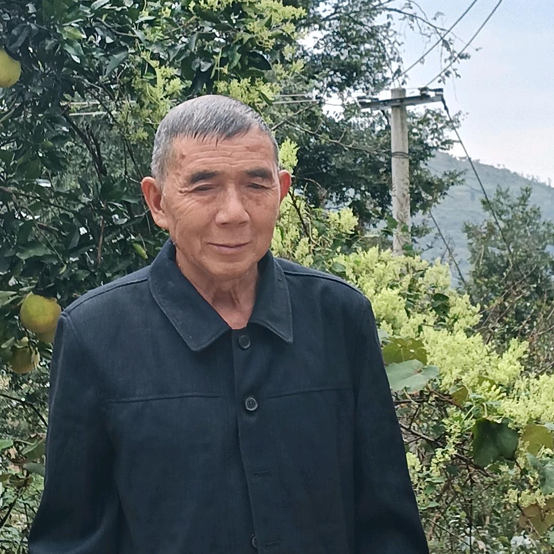 看世界
