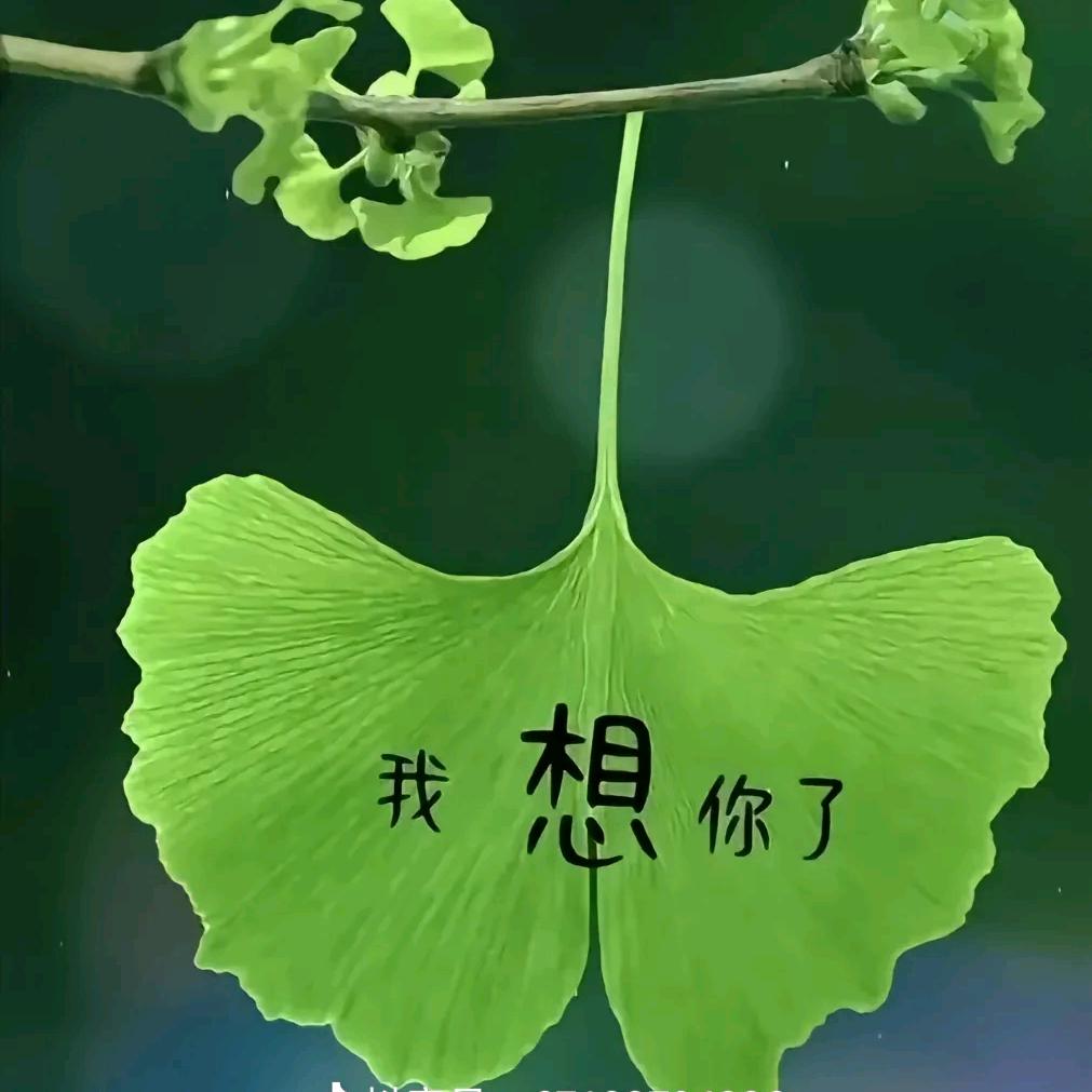 苍桑记忆