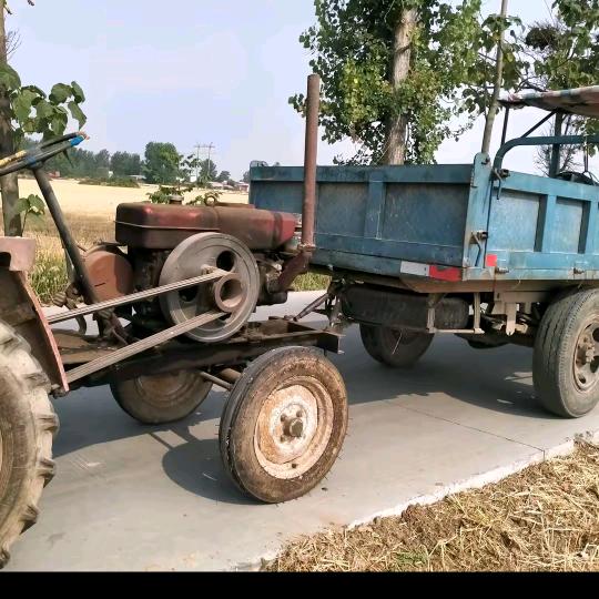 乡村大肖直播号