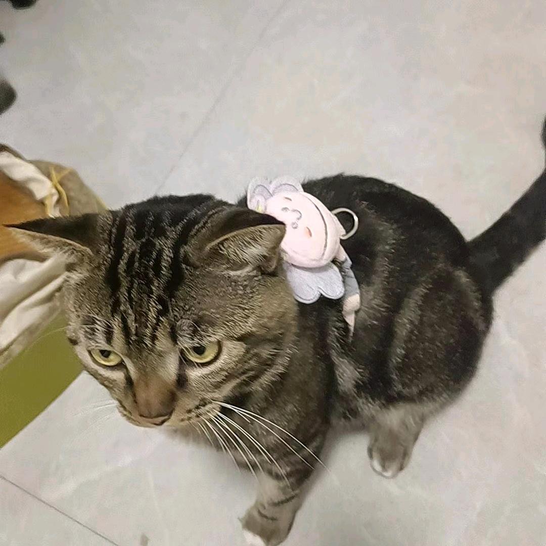 我爱你