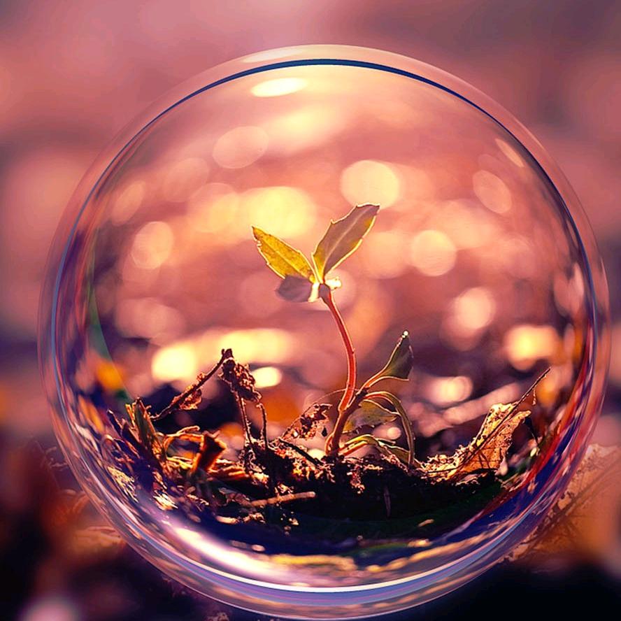 孤独的海鸥·💫