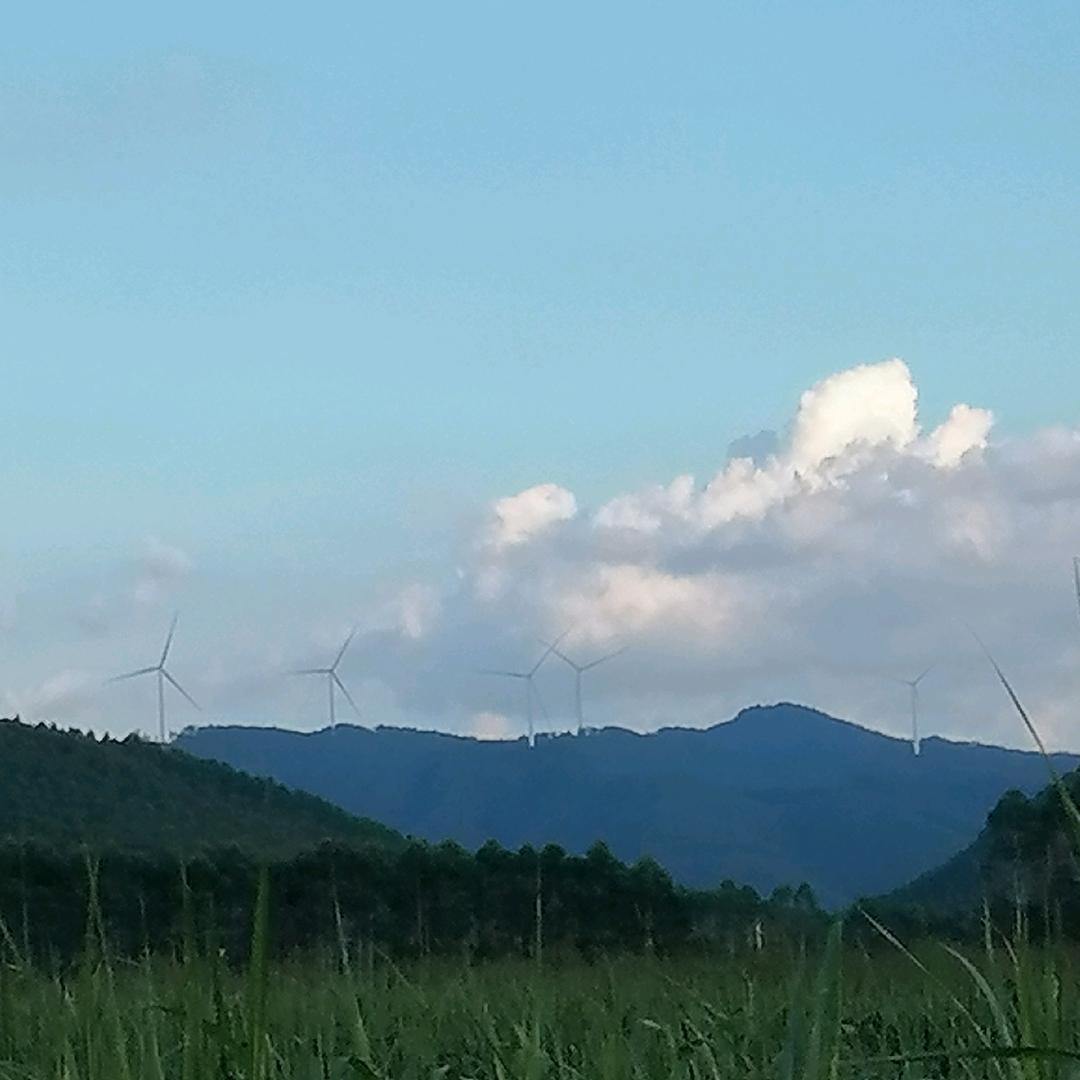 槿涵