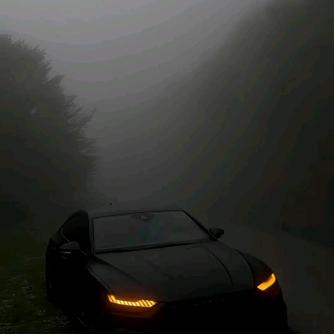72785297317