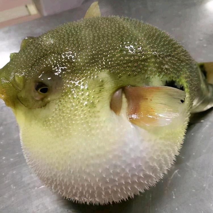 砥  砺  前 行