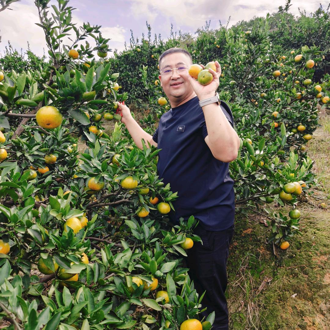 老杨的茶余饭后