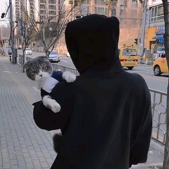光辉岁月@