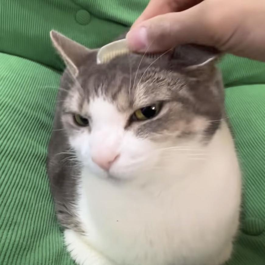 大大大