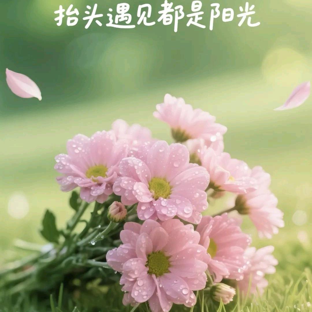 佳威商城买内衣的梁红霞