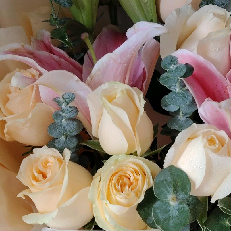 💞ℳঞᩚ好运加满꧔ꦿ᭄💞