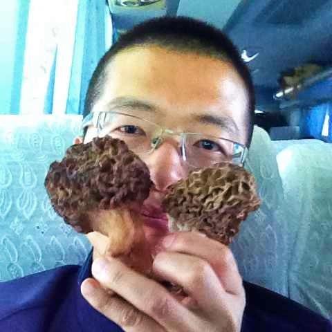 新疆野生菌