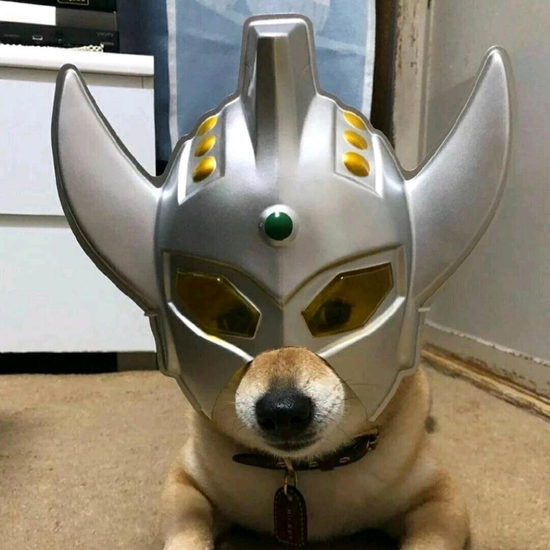 无敌暴血炎龙勇士