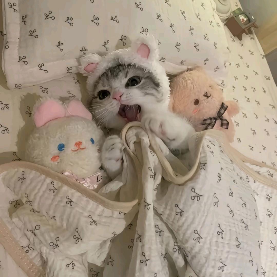 睡觉大王💤