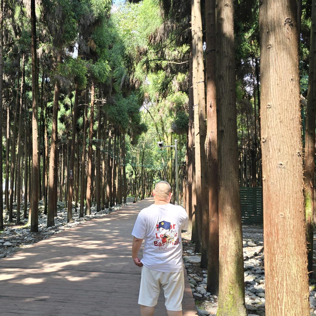 爱逞强的小路痴