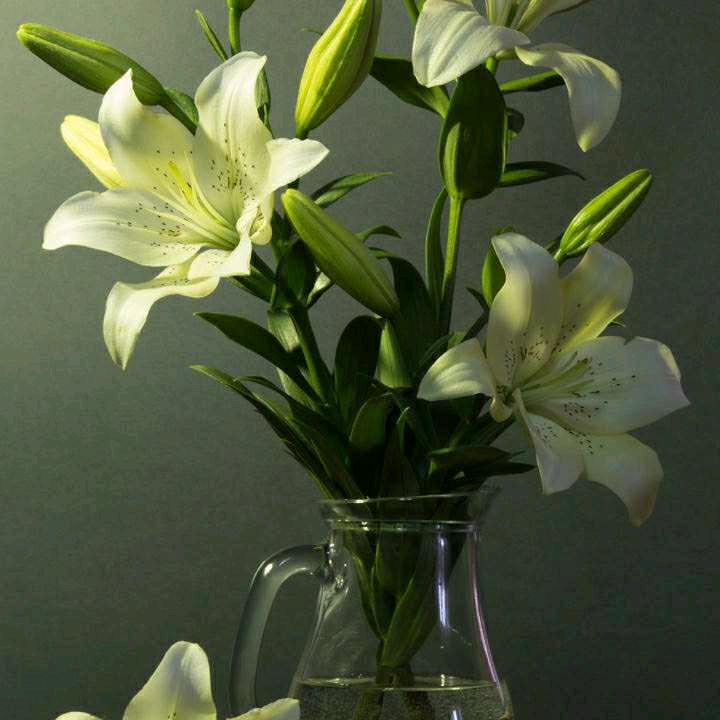 🌈门前的小沙滩