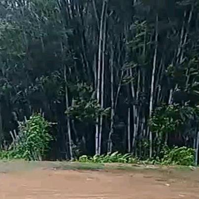 廿二