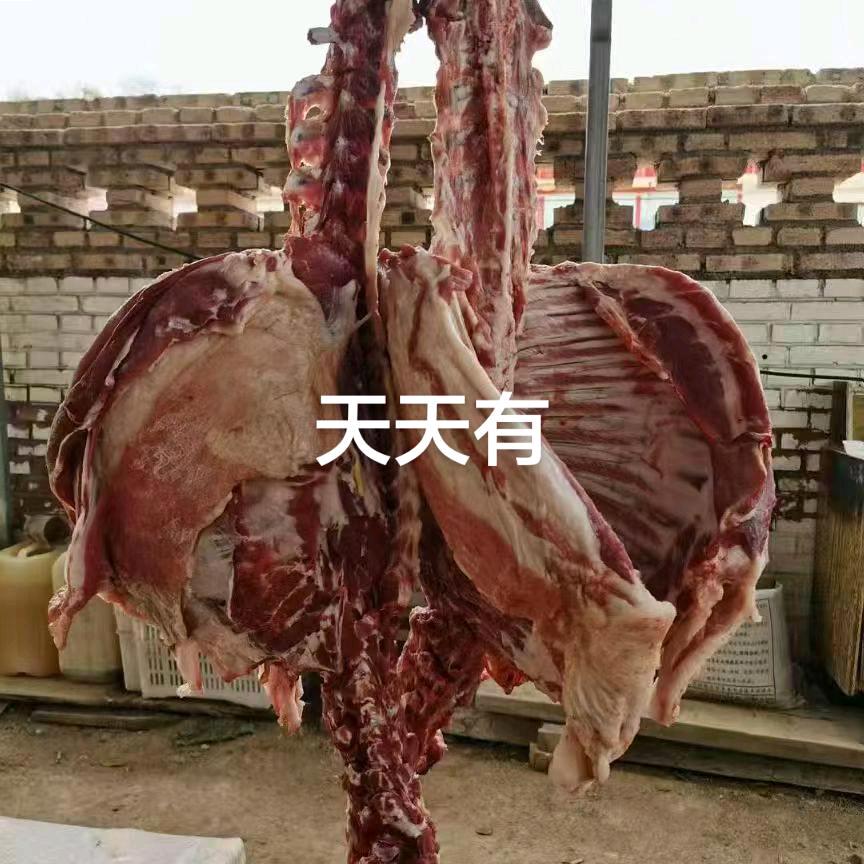 二小羊肉