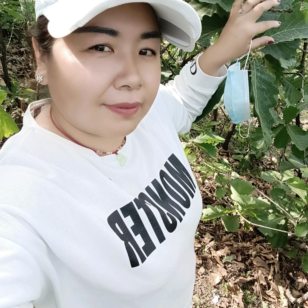 龙凤堂