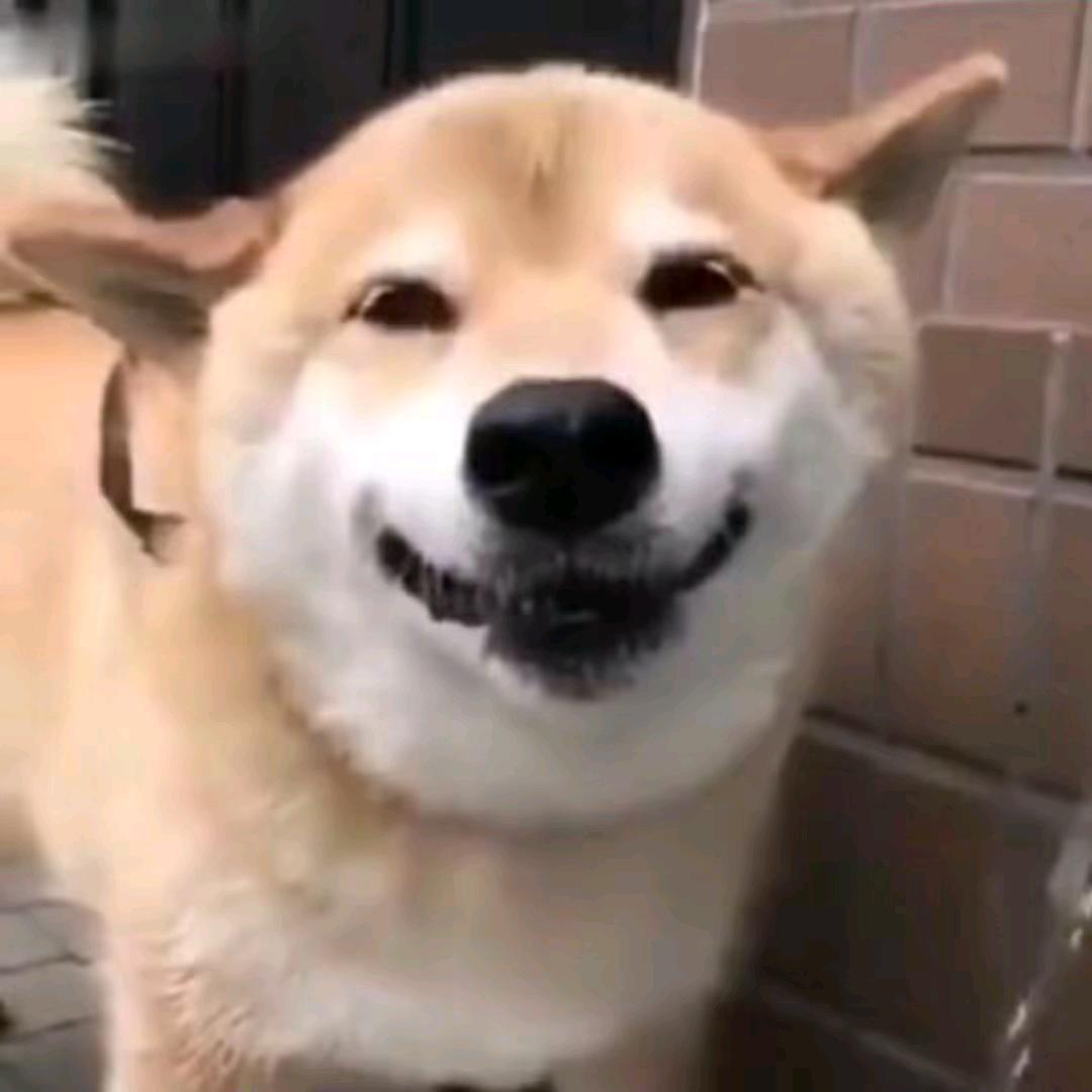 爱玩游戏的群众