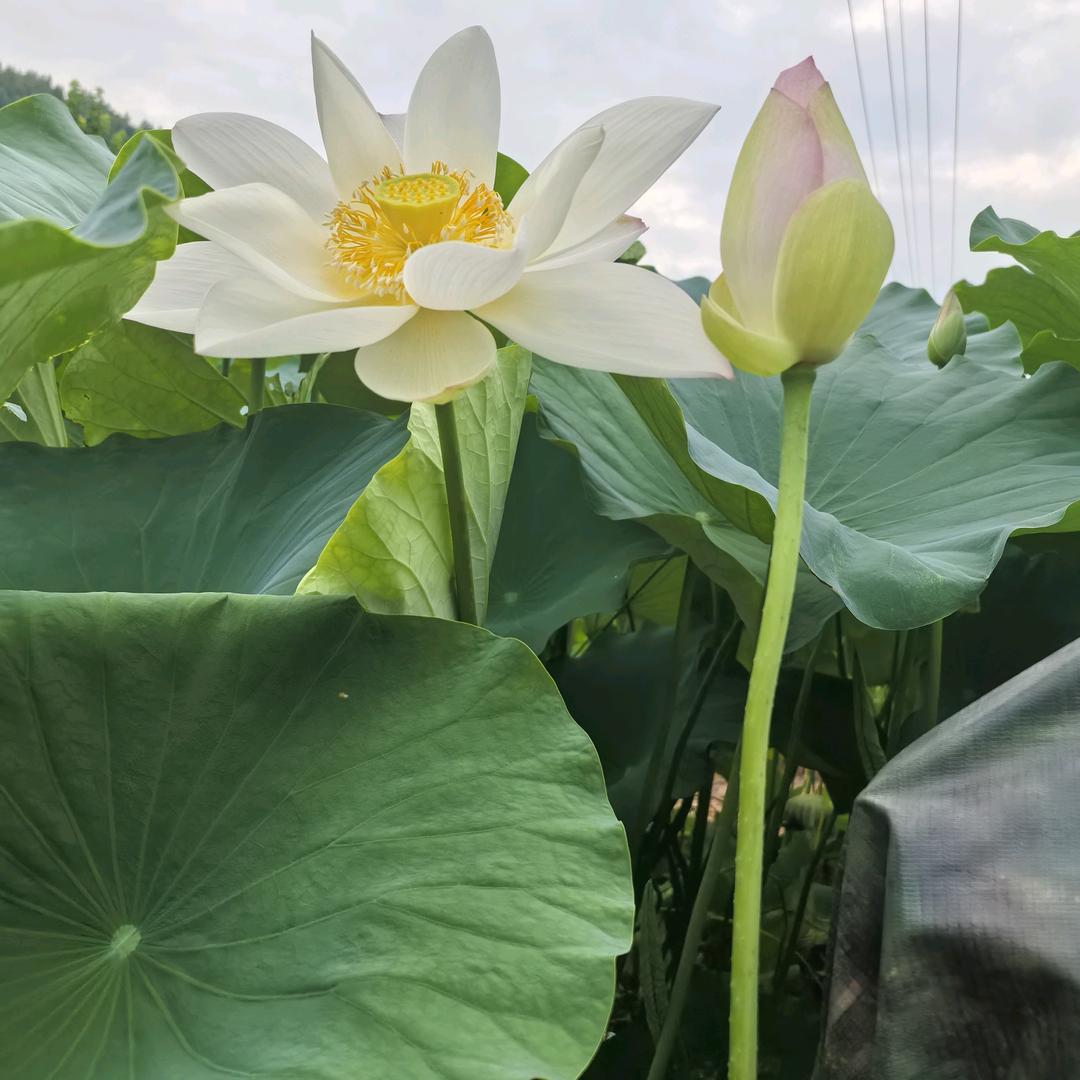 健康是福