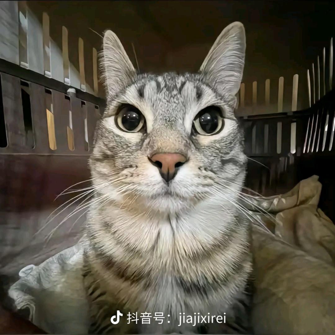習t