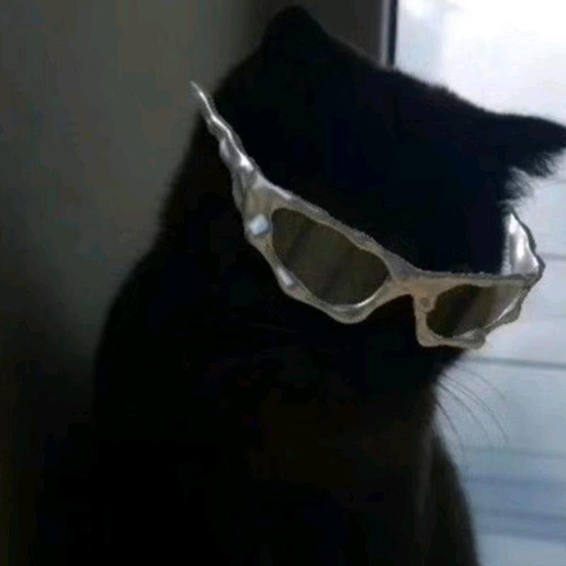 有网瘾的黑猫