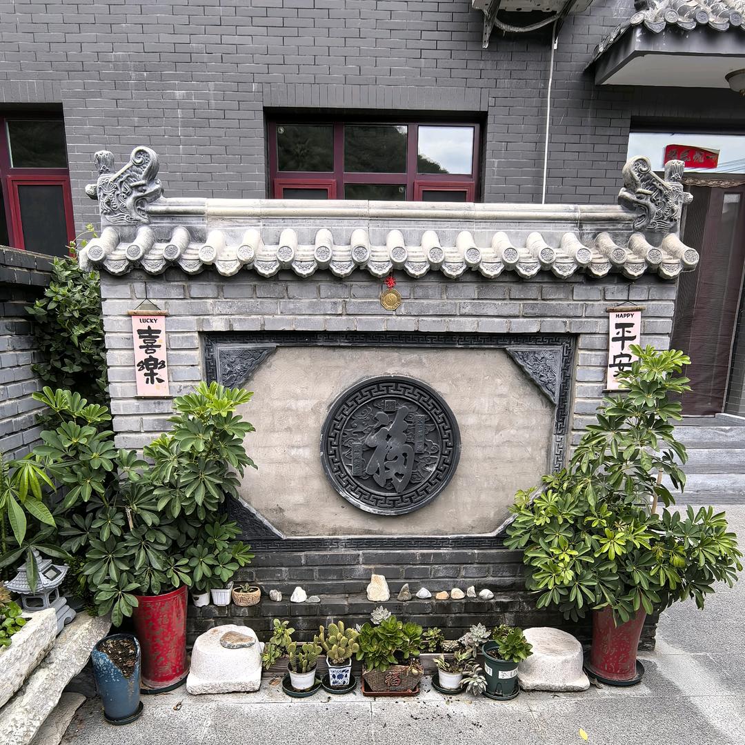 南山大项