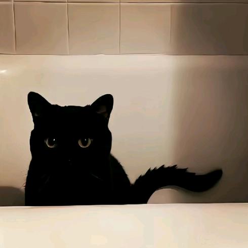 ㅤㅤㅤㅤ￴￴￴￴￴