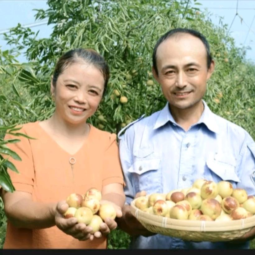 君姐的沾化冬枣小铺