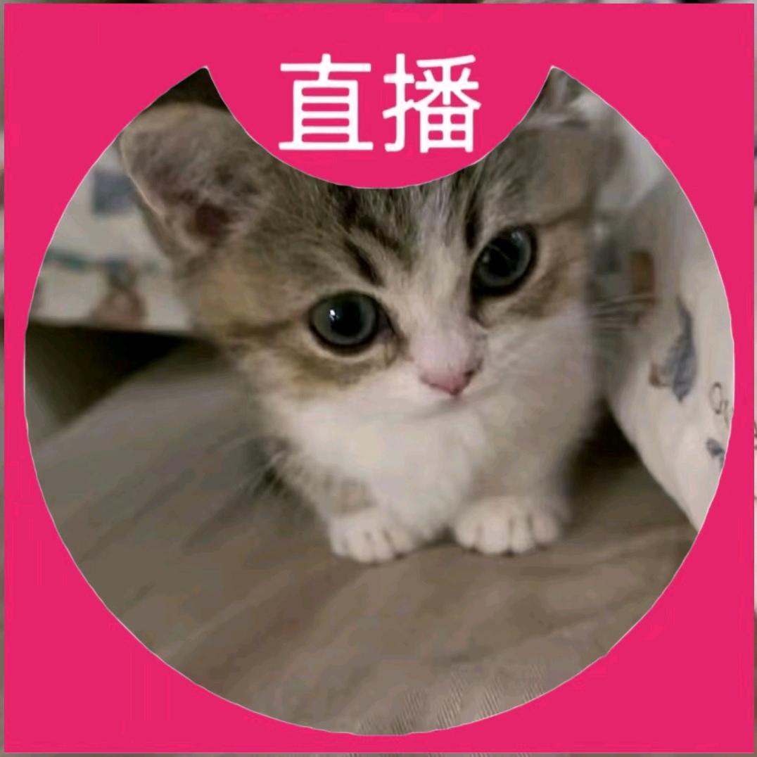 冉冉啊
