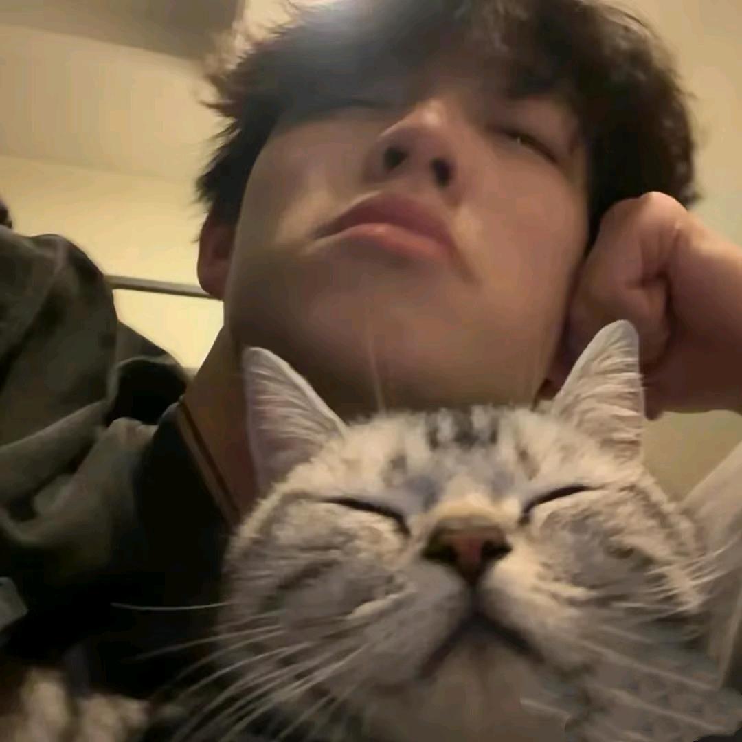 冷小颜（优秀的焱大师）