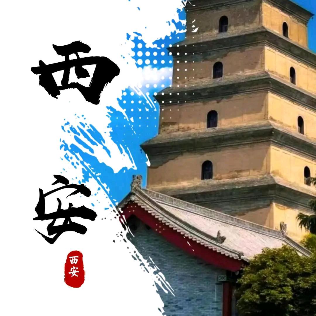 晶频腾月汽车服务