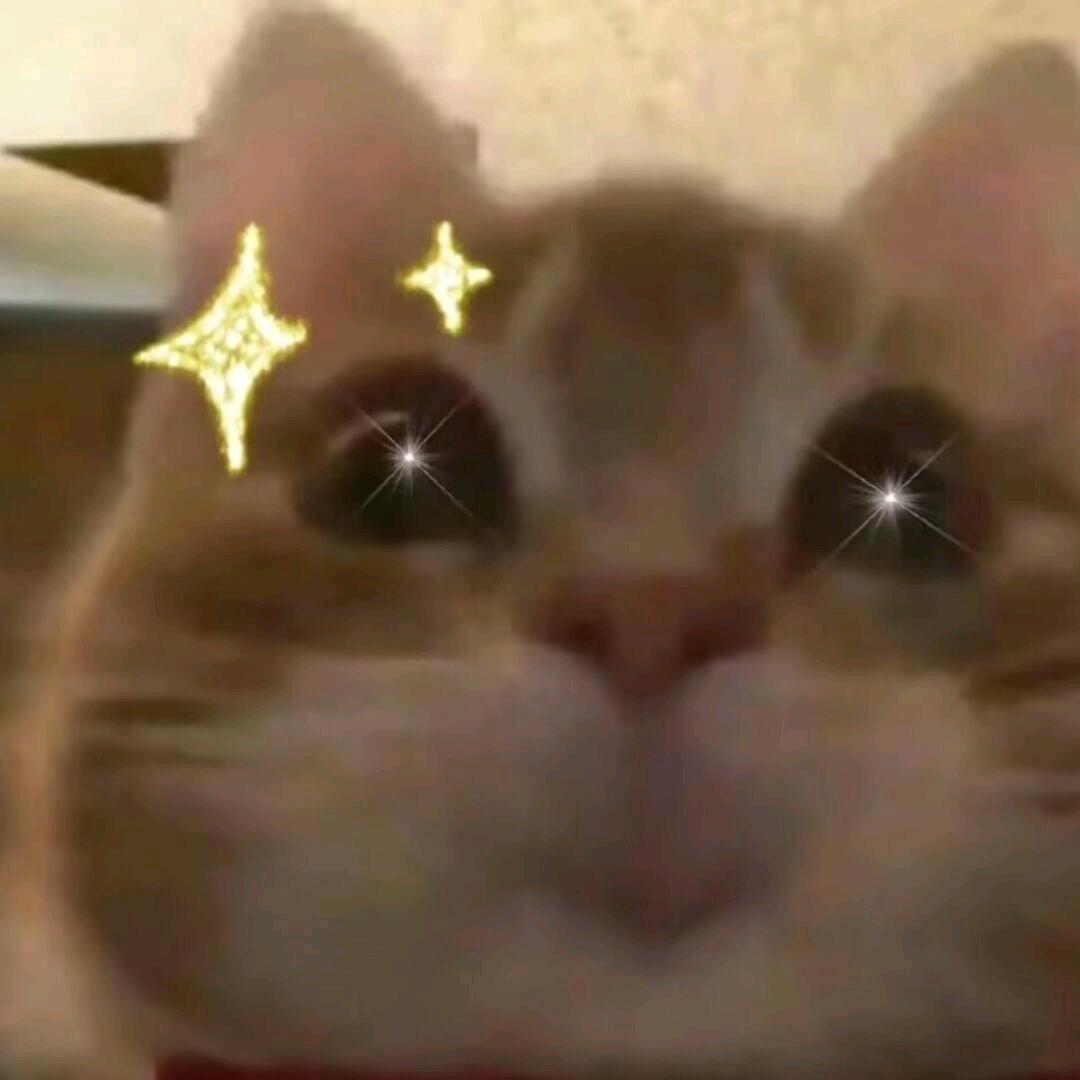 喵喵喵。