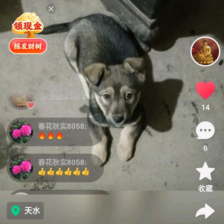 用户4091149546505