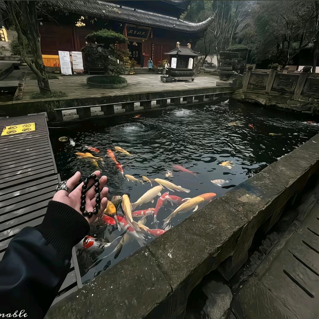 𝐋𝐢𝐮.