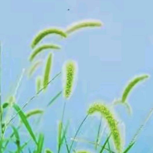 🦋心在旅途🦂