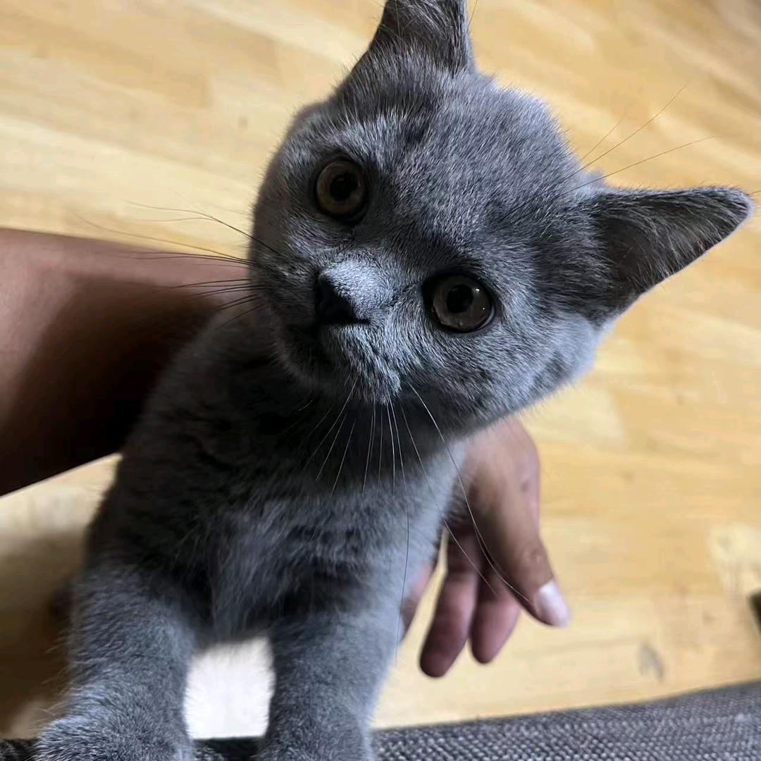 纳腾宠物用品店