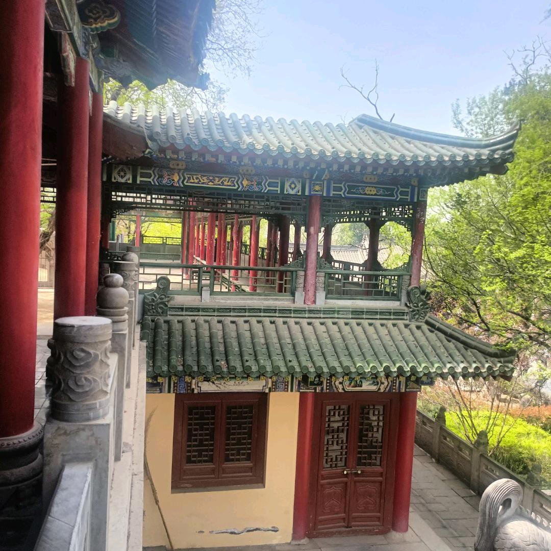 濤哥