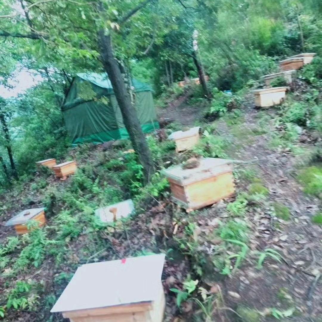 独家回忆