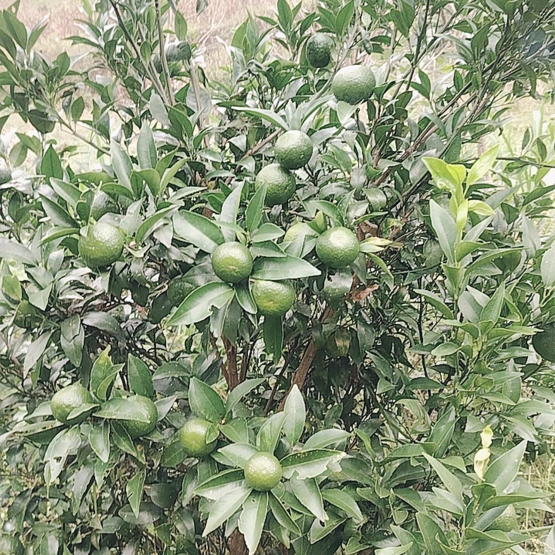 永远珍惜