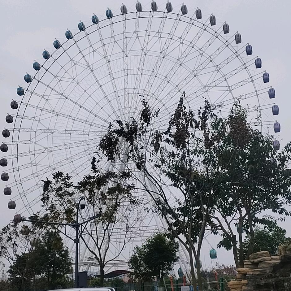 情感