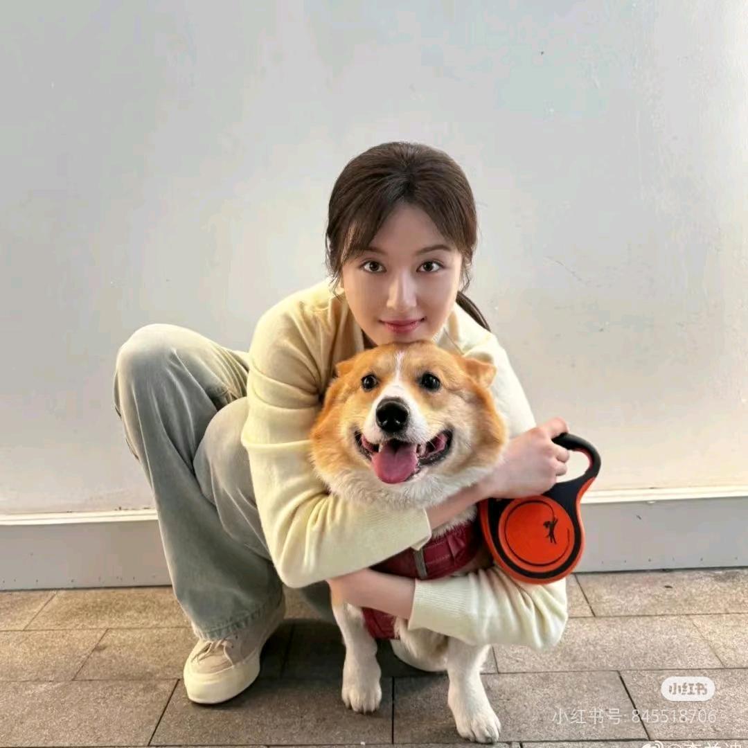四喜丸子