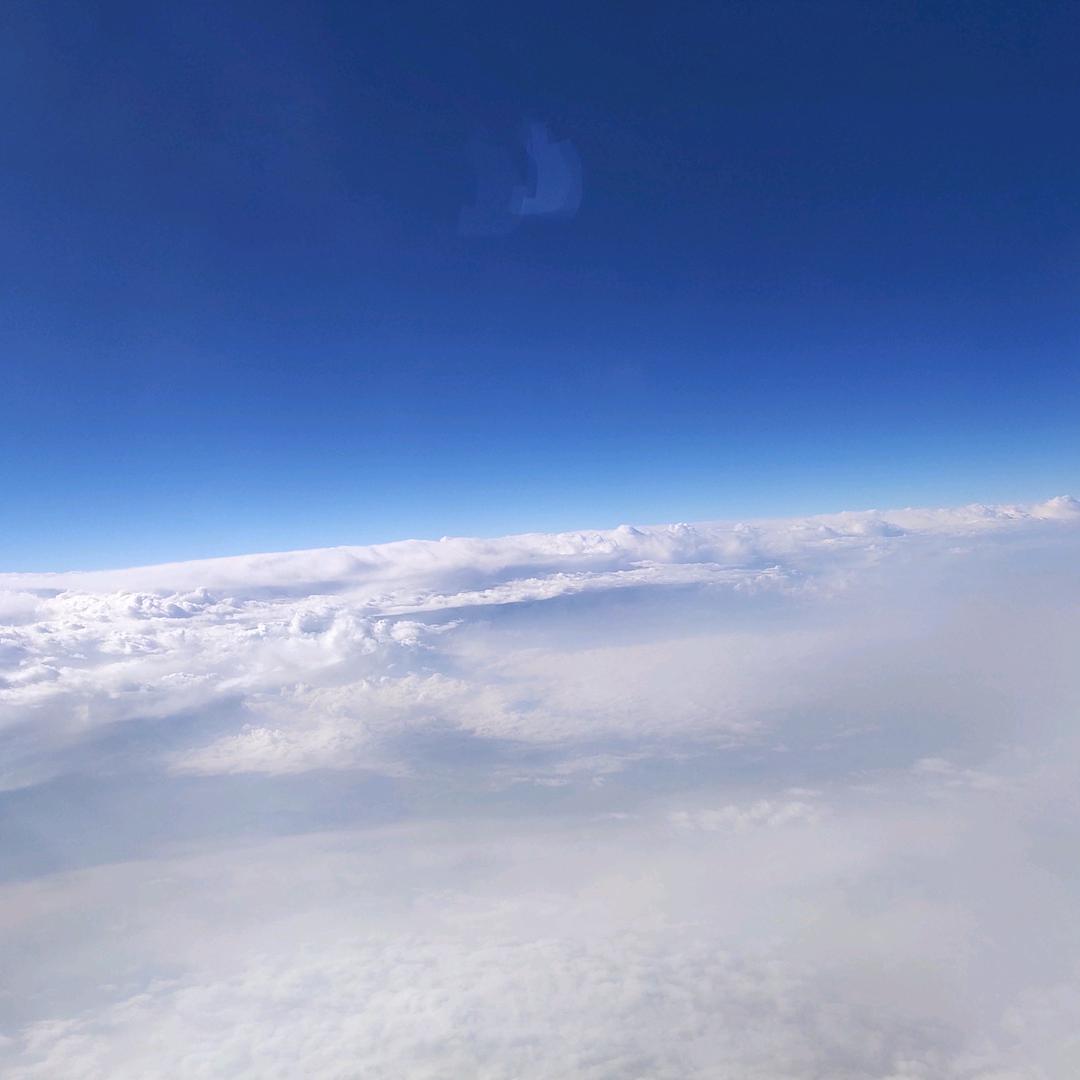 不慌不忙的小流氓