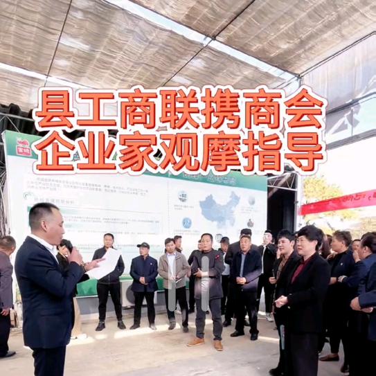 中蟋养殖2