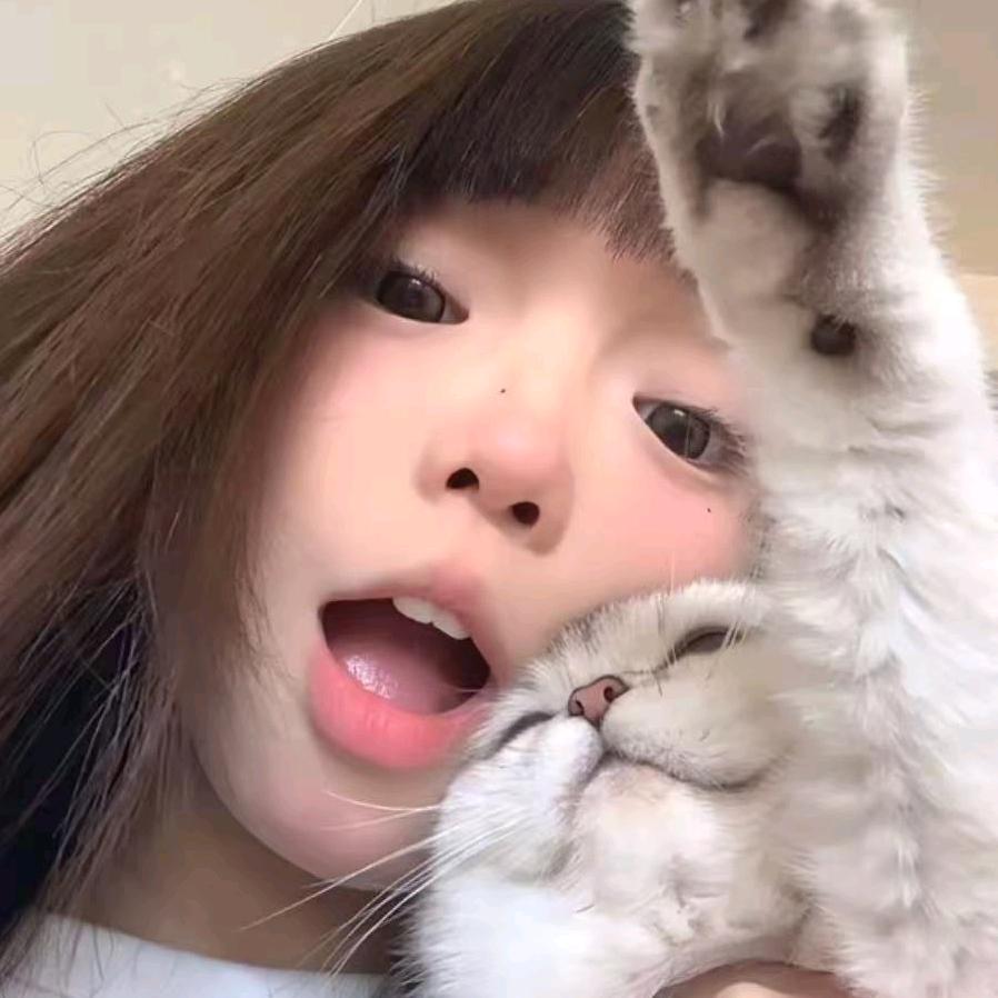 泡᳐芙᳐੭ﾞ