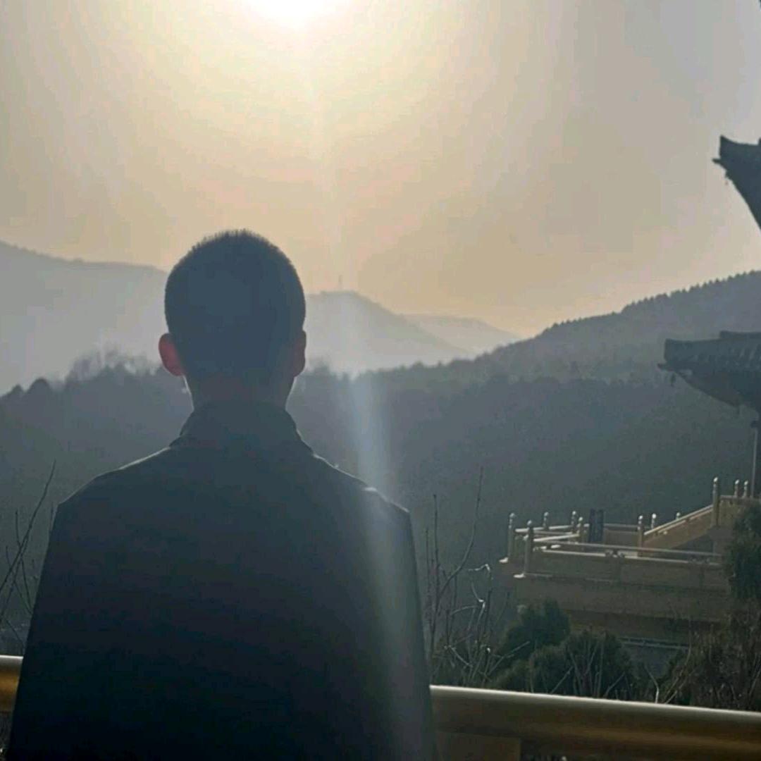 最是凝眸无限意