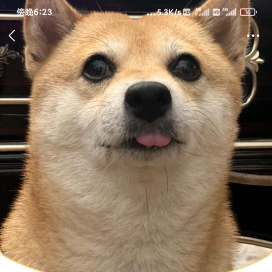 工厂3号店