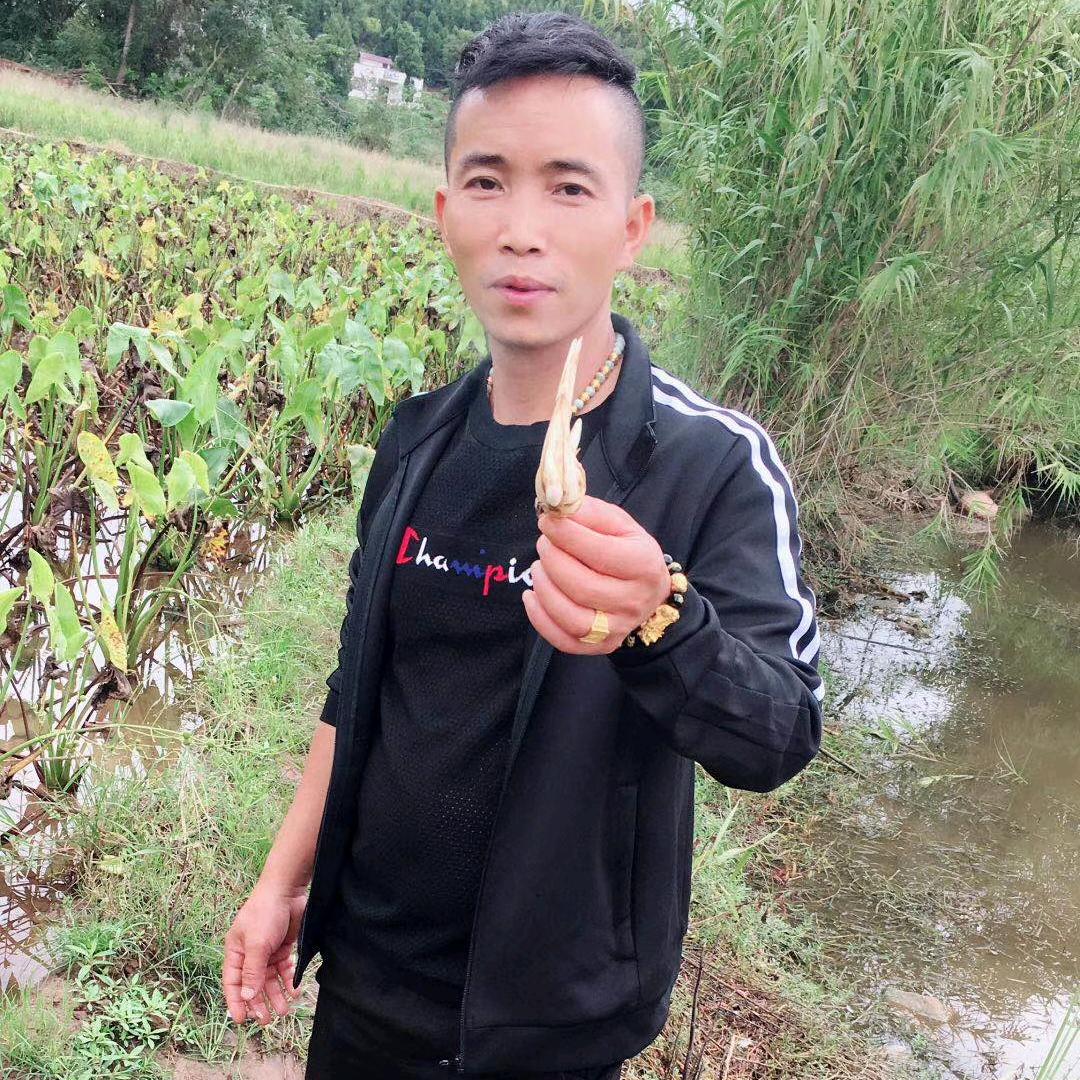 🐉真情🐍永🐍不变🐉